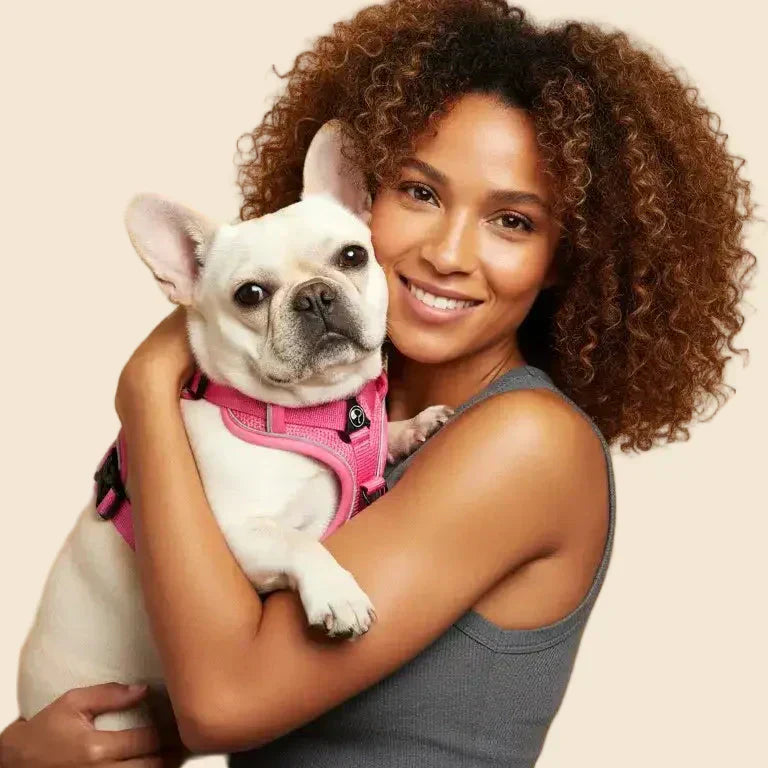 Forme du harnais chien : Y, X ou H ? Le guide 2026