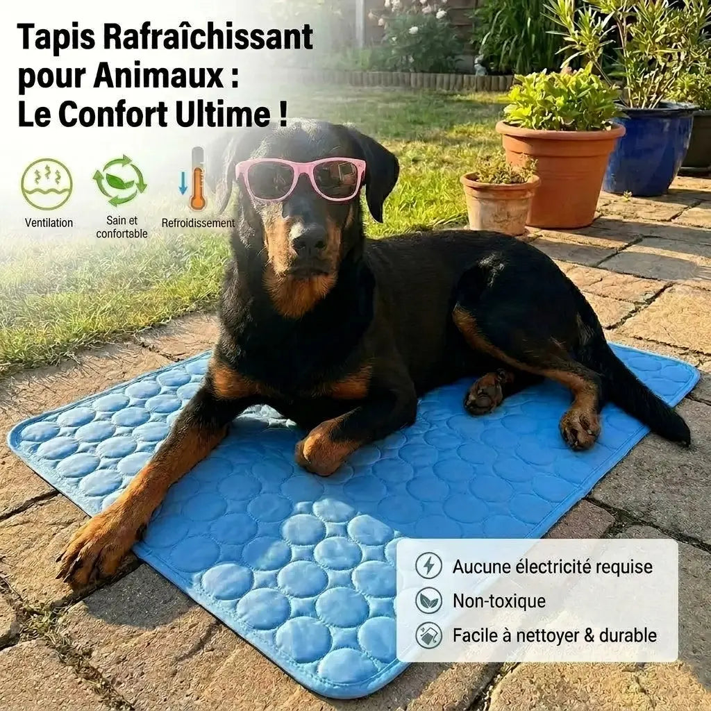 Tapis rafraîchissant SKWATOU soie glacée bleu pour chien et chat vue de dessus