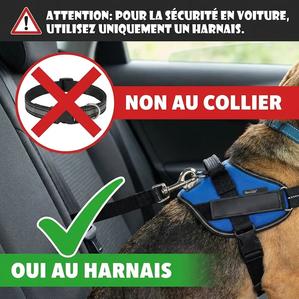 Harnais ceinture sécurité animaux — attache anti-choc clip voiture