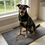 Chien noir avec lunettes roses assis sur le tapis Skwat clean™ gris à l'entrée d'une maison — tapis hygiène pattes microfibre chenille antidérapant SKWATOU