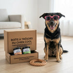 SkwatSkin — Anti-démangeaisons et pelage brillant pour chien