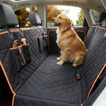 Pack Protection Complète été pour chien