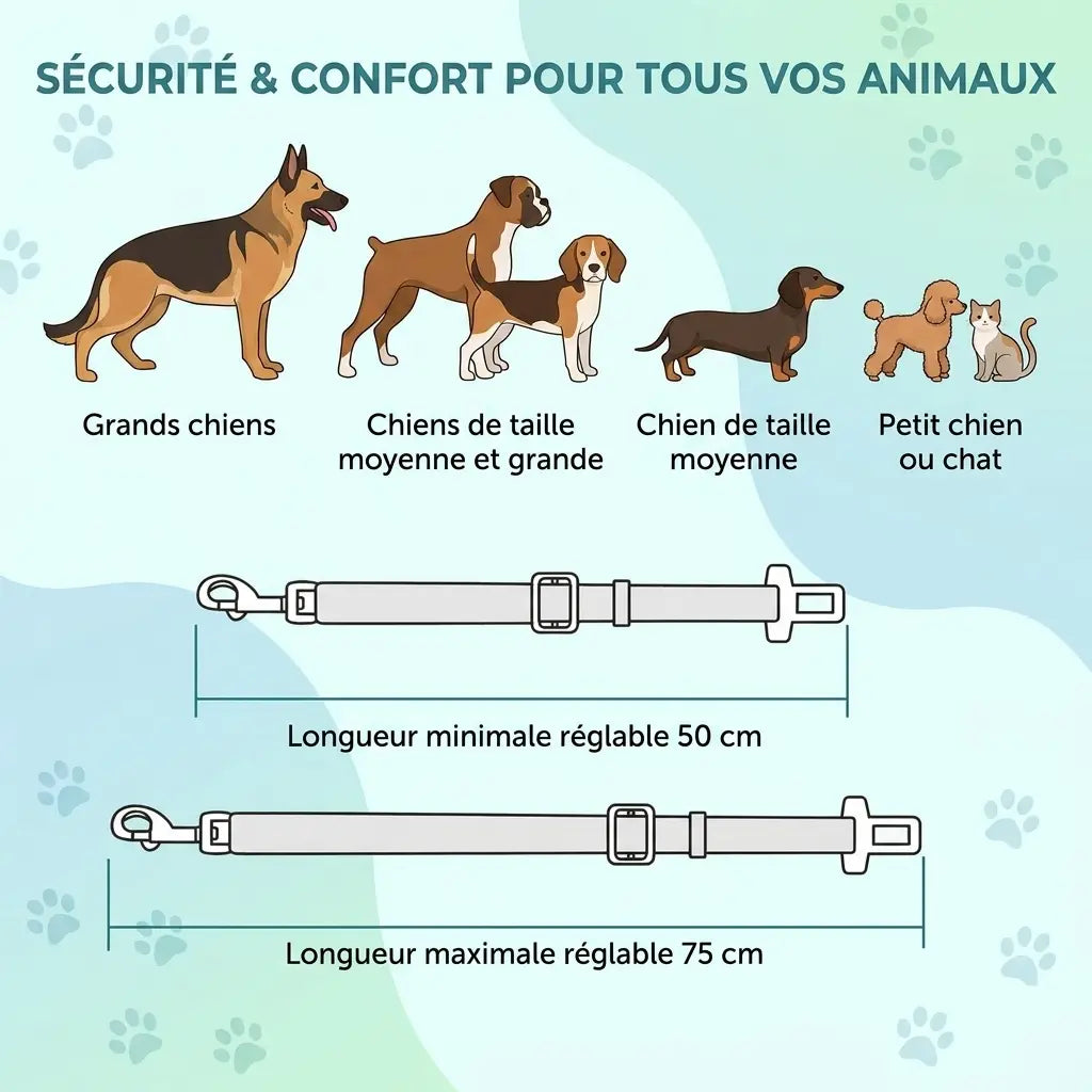 Ceinture sécurité chien chat — installation siège auto réglable