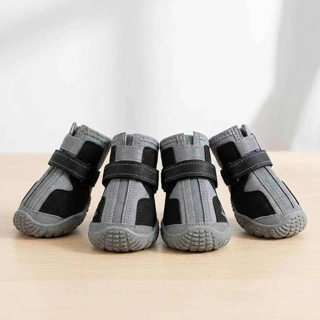 Chaussures antidérapantes chien — guide des tailles et largeur des pattes
