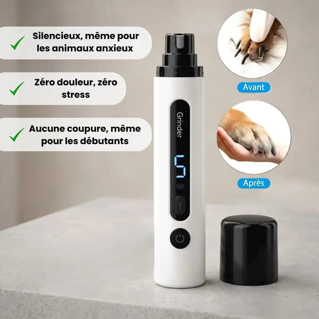 Coupez les griffes sans stress ni douleur