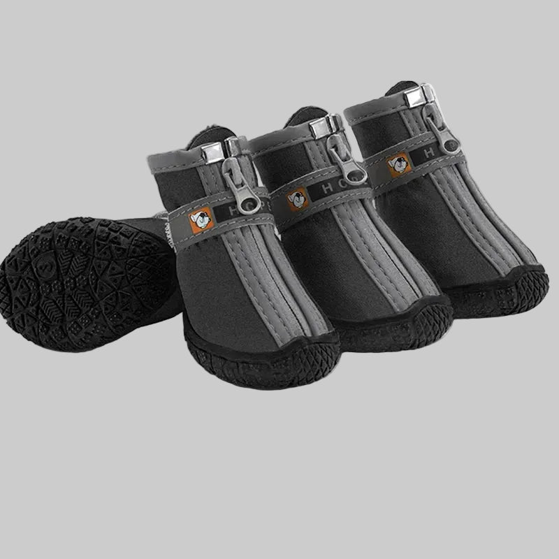 Chaussures pour chien couleur rouge — protection pattes été hiver