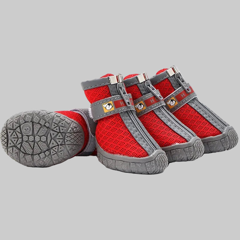 Chaussures pour chien couleur noir — protection pattes randonnée et ville