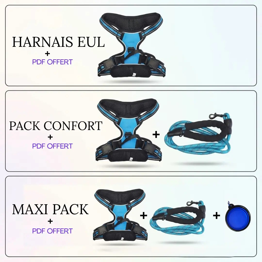 Comparatif des offres de harnais pour chien : harnais seul, pack confort avec laisse, et maxi pack avec accessoires, avec PDF offert.