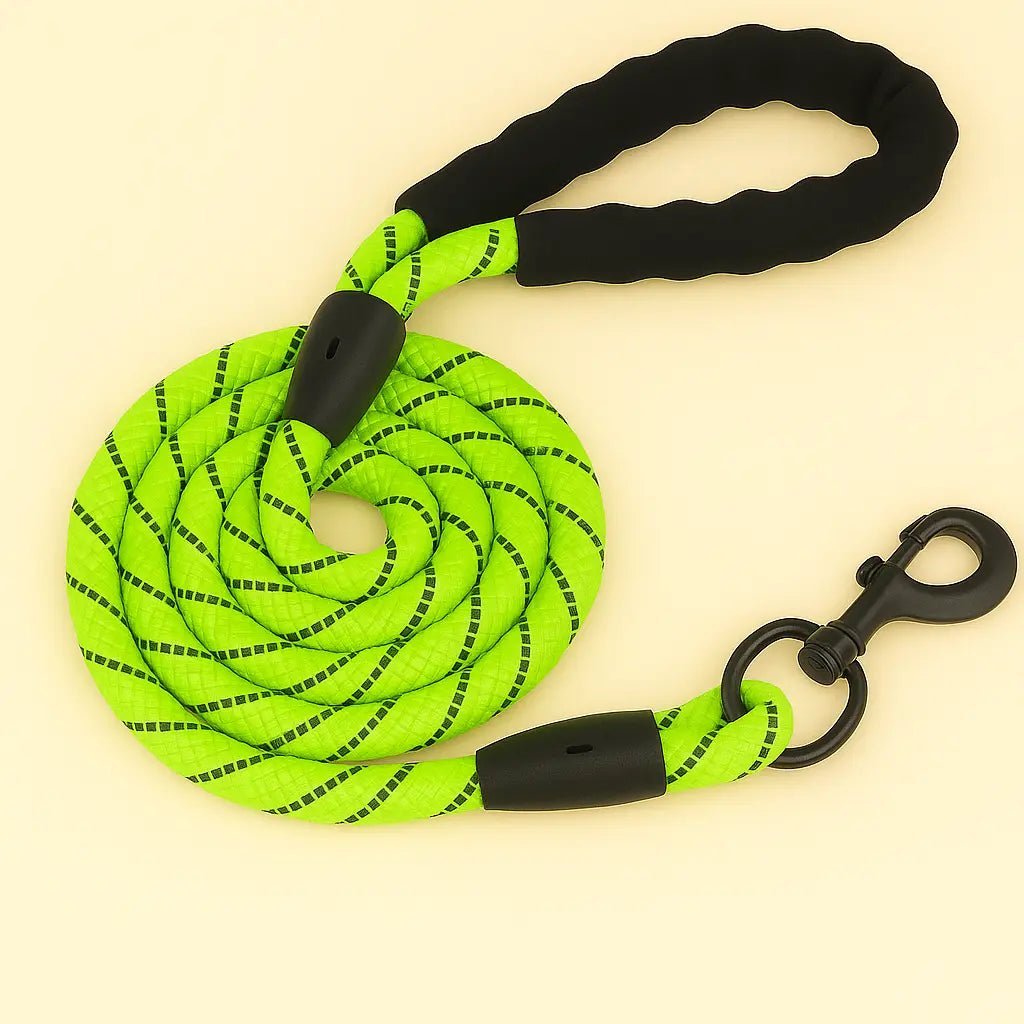 Laisse pour chien jaune fluo 2 mètres avec poignée en mousse et corde réfléchissante ultra résistante