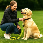 Femme souriante tenant un chien labrador avec une laisse jaune et noire de 2 mètres dans un parc